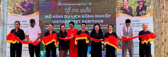 [VED-TAF] Lễ ra mắt mô hình du lịch nông nghiệp VietHarvest AgriTour tại phường Giang Biên – quận Long Biên